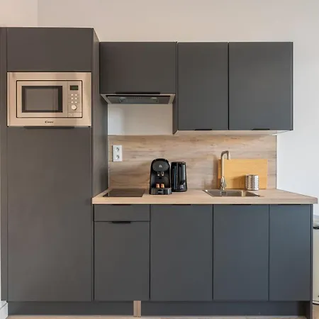 1 Bedroom In Center With Parking Tourcoing